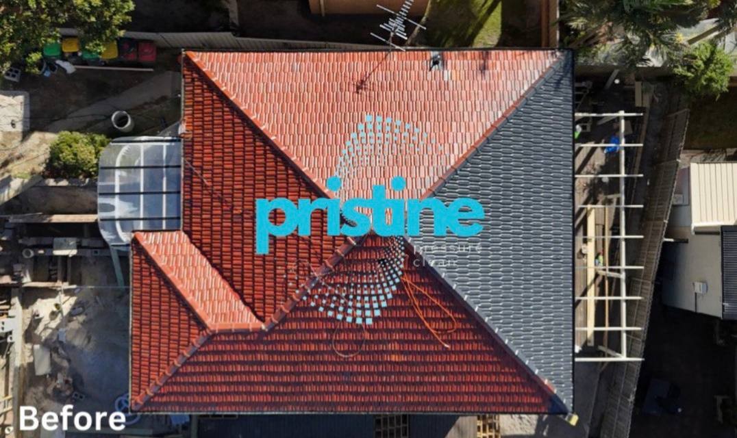 Before — dirty roof